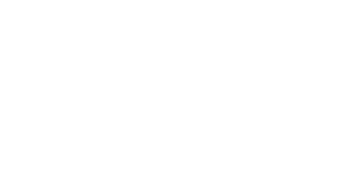 Google Partner