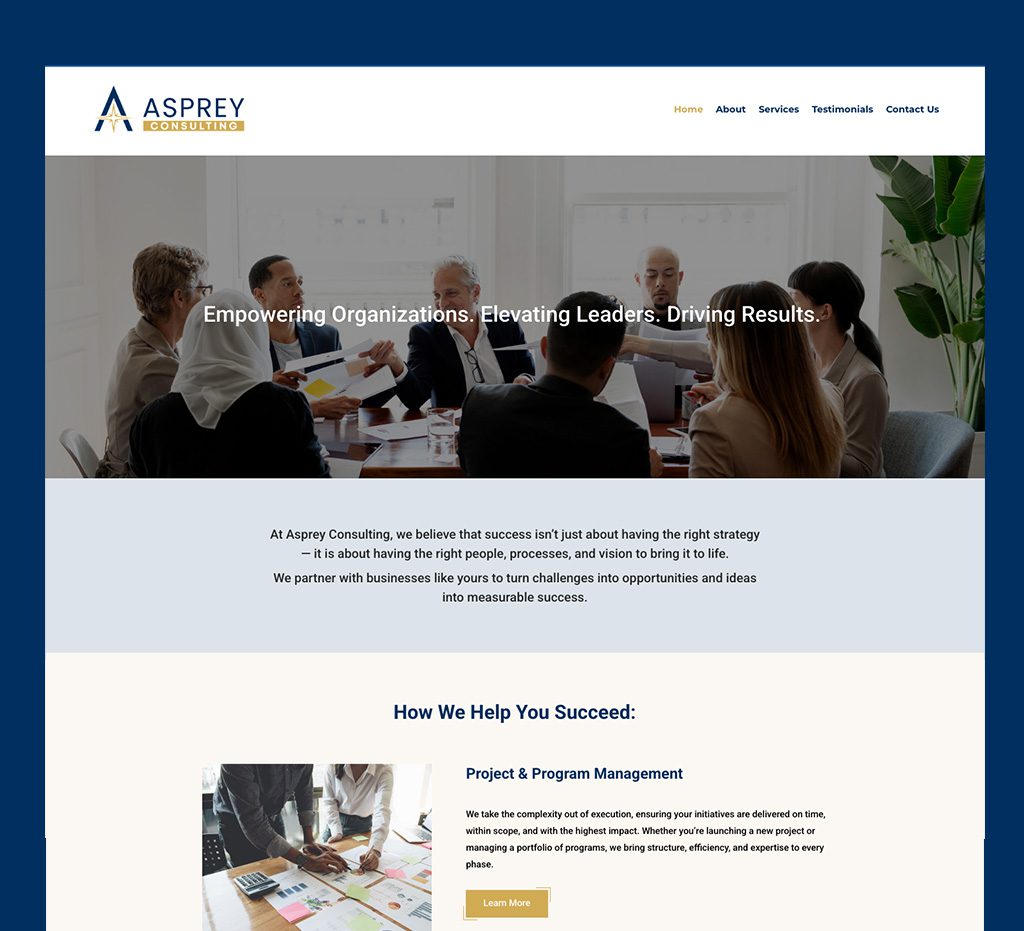 Asprey Consulting - Fractional PMO, Project Management, Portfolio Management