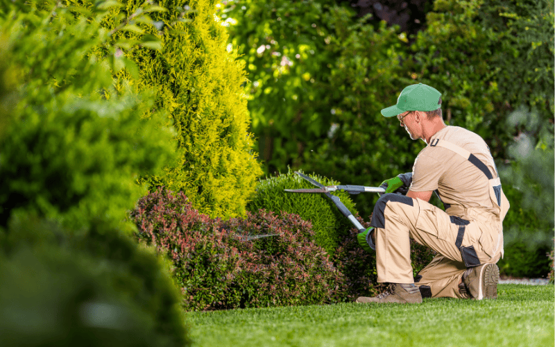 Marketing for Landscaping Companies: How to Get More Residential Accounts- social media marketing, google ads, advertising, web creation, web design, seo, video production Marketing for Landscaping Companies: How to Get More Residential Accounts- social media marketing, google ads, advertising, web creation, web design, seo, video production
